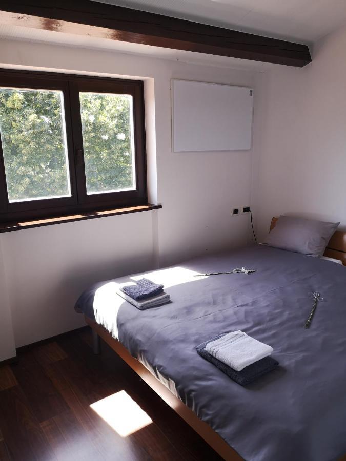 Apartma Rok Plavje Buitenkant foto
