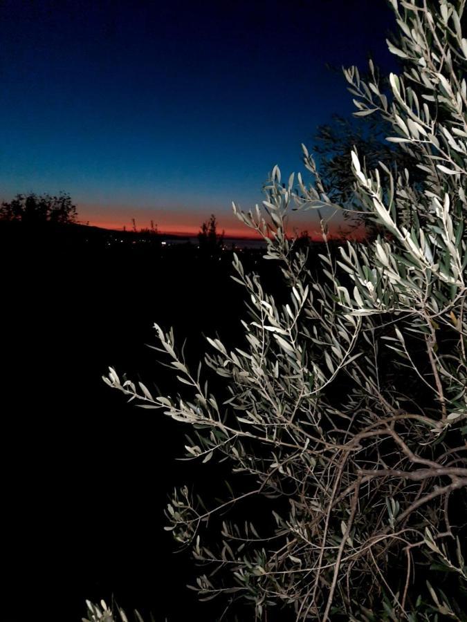 Apartma Rok Plavje Buitenkant foto