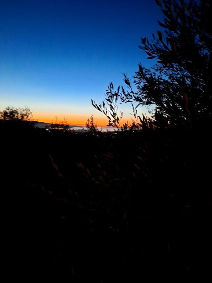 Apartma Rok Plavje Buitenkant foto